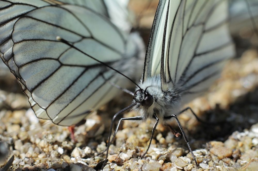 Photograph by Марина Савченко