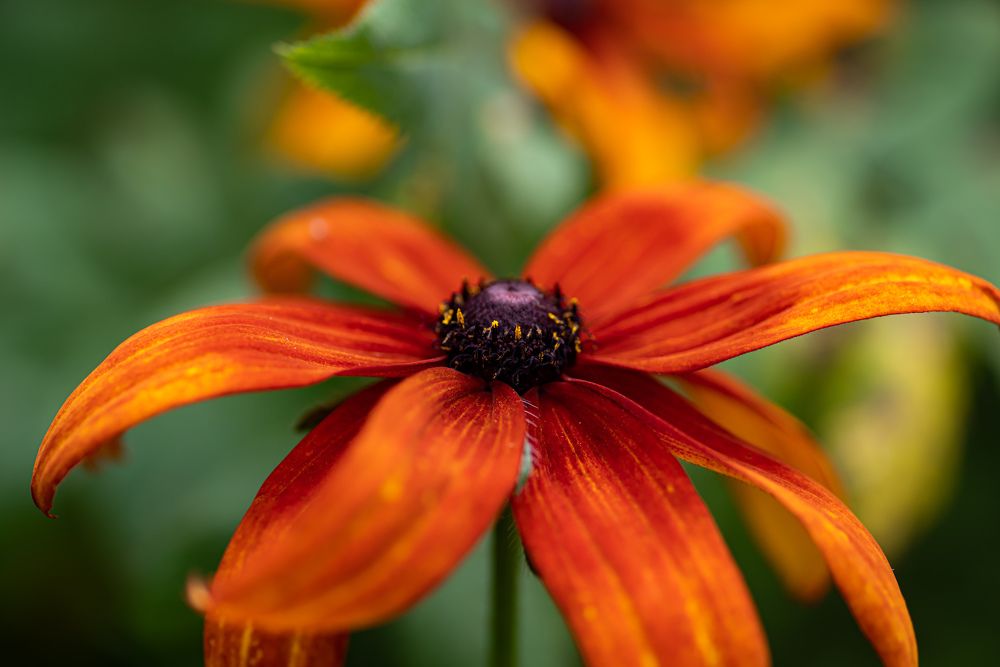 Photograph by Евгений Рыжевский