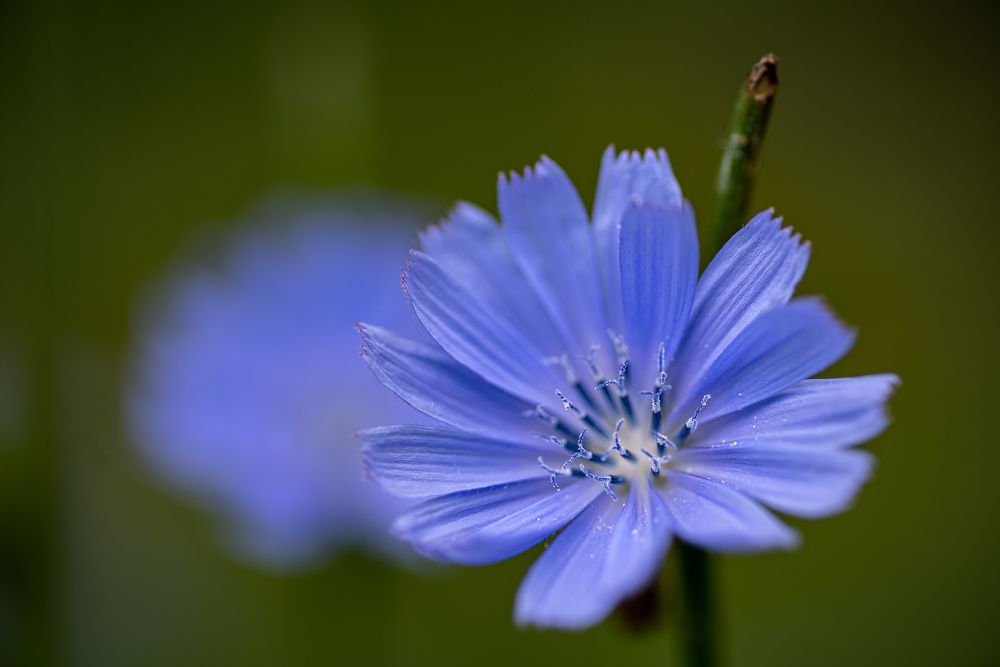 Photograph by Евгений Рыжевский