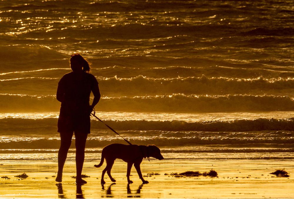 Walking the dog
