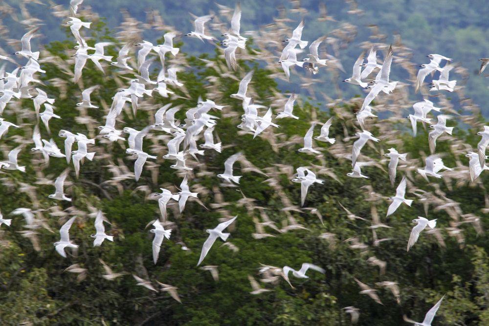 Photograph by TOH KAI HU