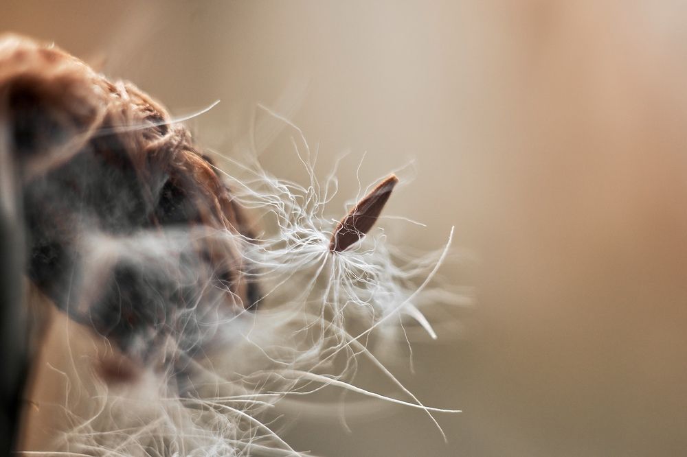 Photograph by Yuliya Khramova