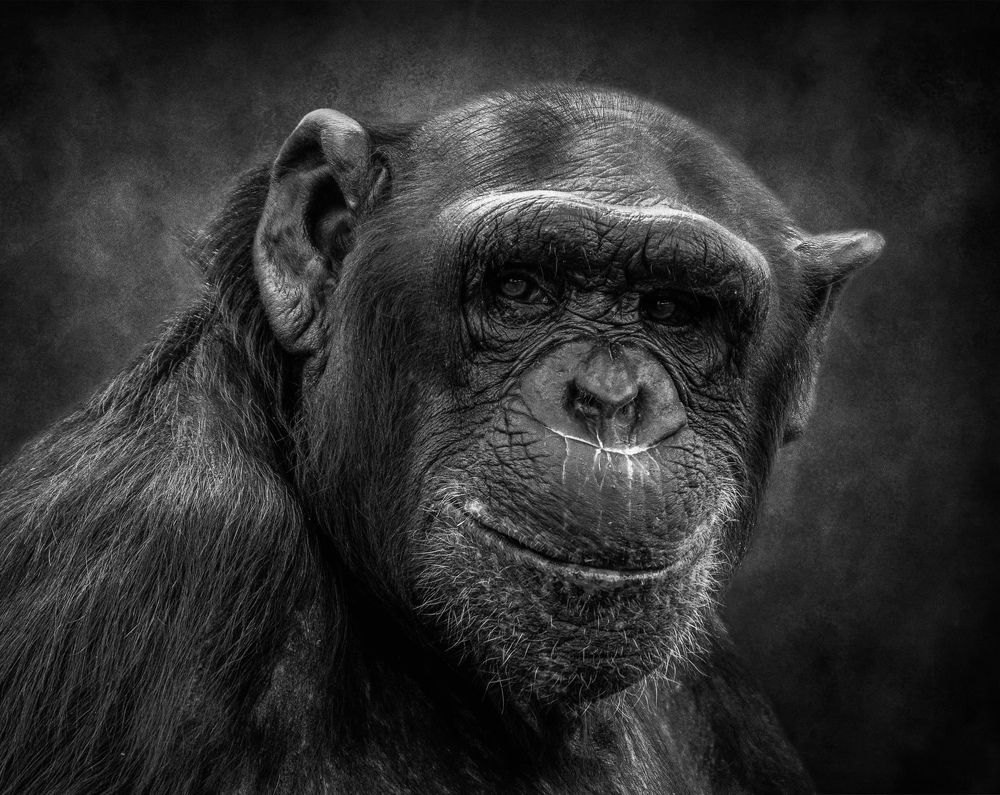 Photograph by Janet Williams