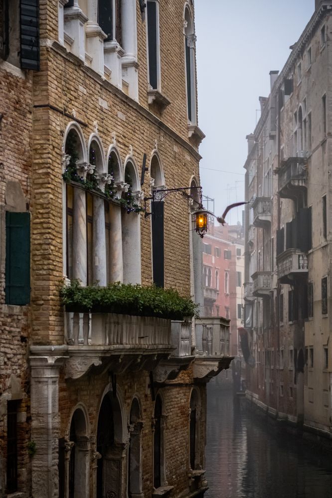 Photograph by Inna Bystrakova