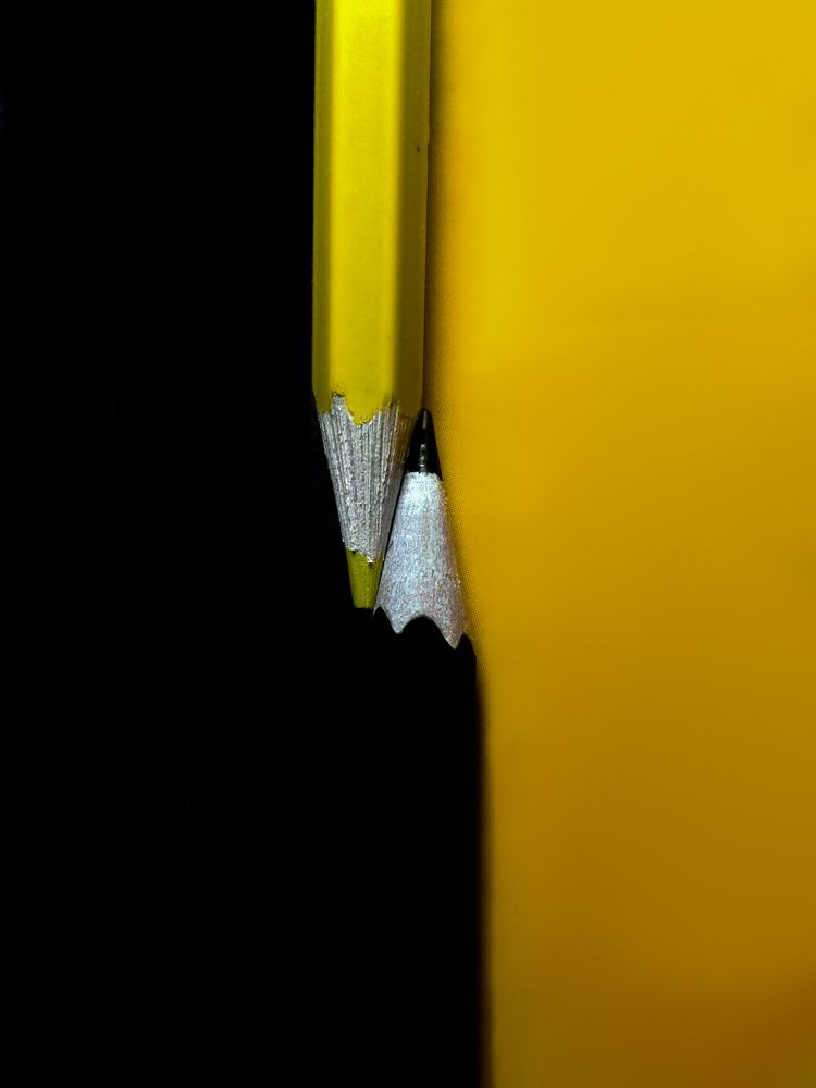 Photograph by Mohammad mahdi Mansouri