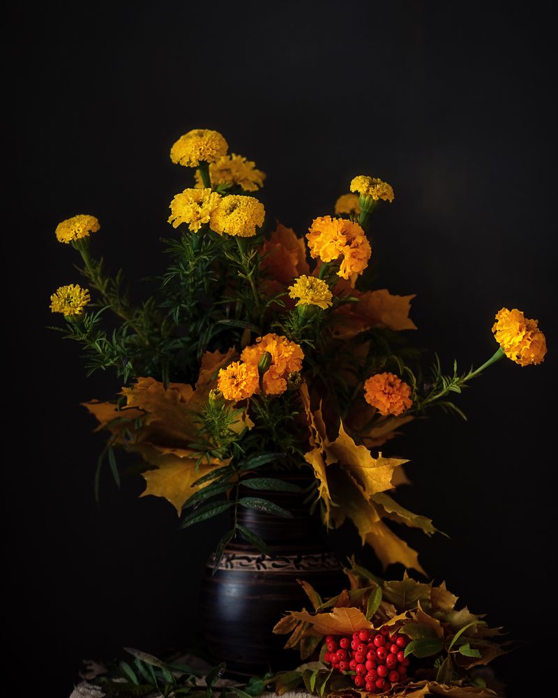 Фотография автора Елена Баклач