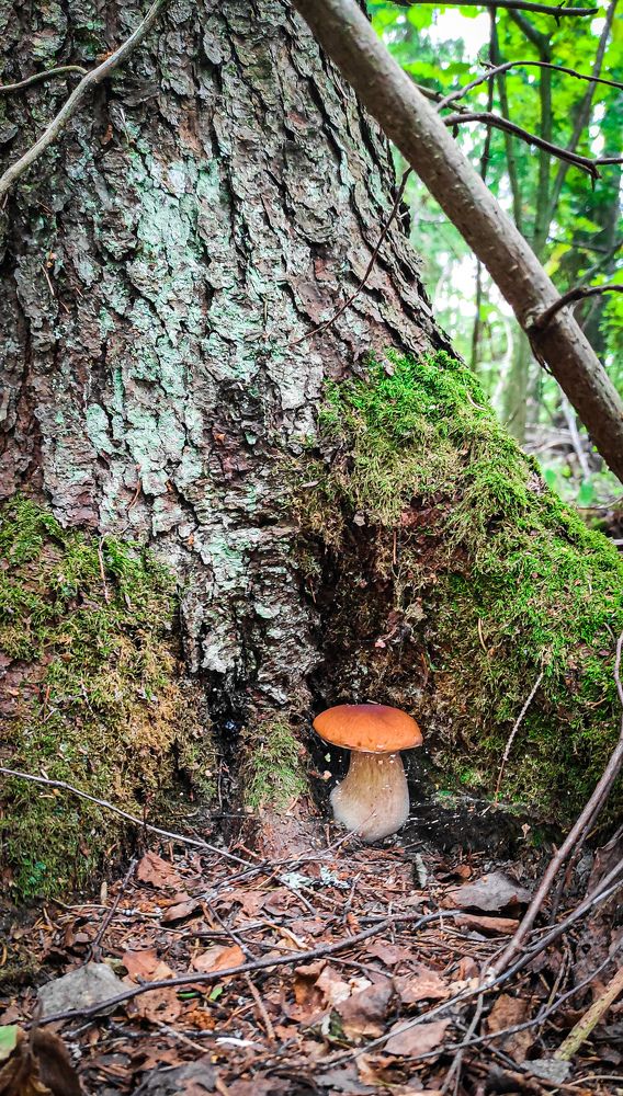 Photograph by Владимир Коновалов