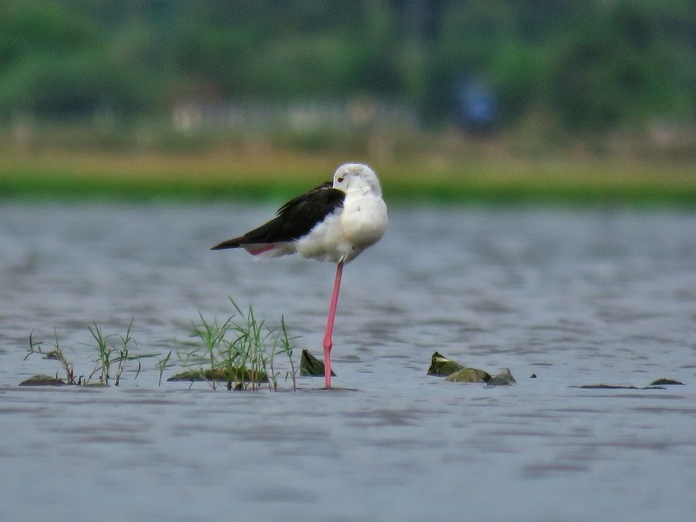 Photograph by Krish Gohel