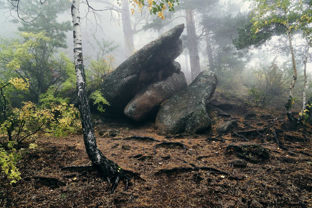 Туман на Такмаке