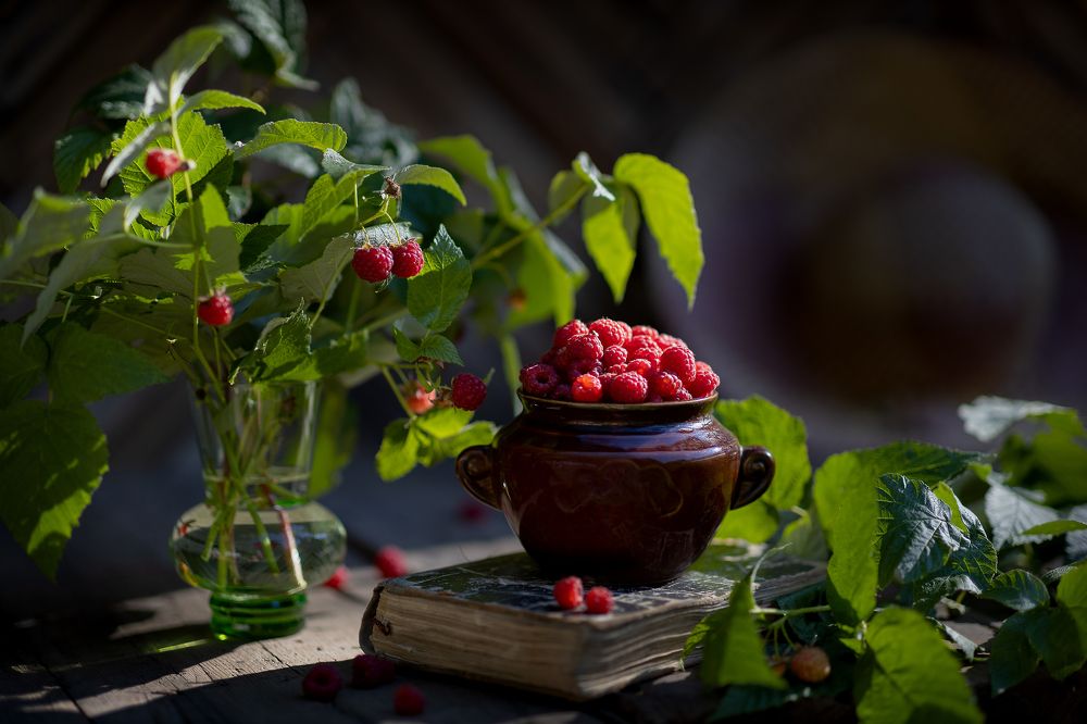 Photograph by Светлана Ерохина