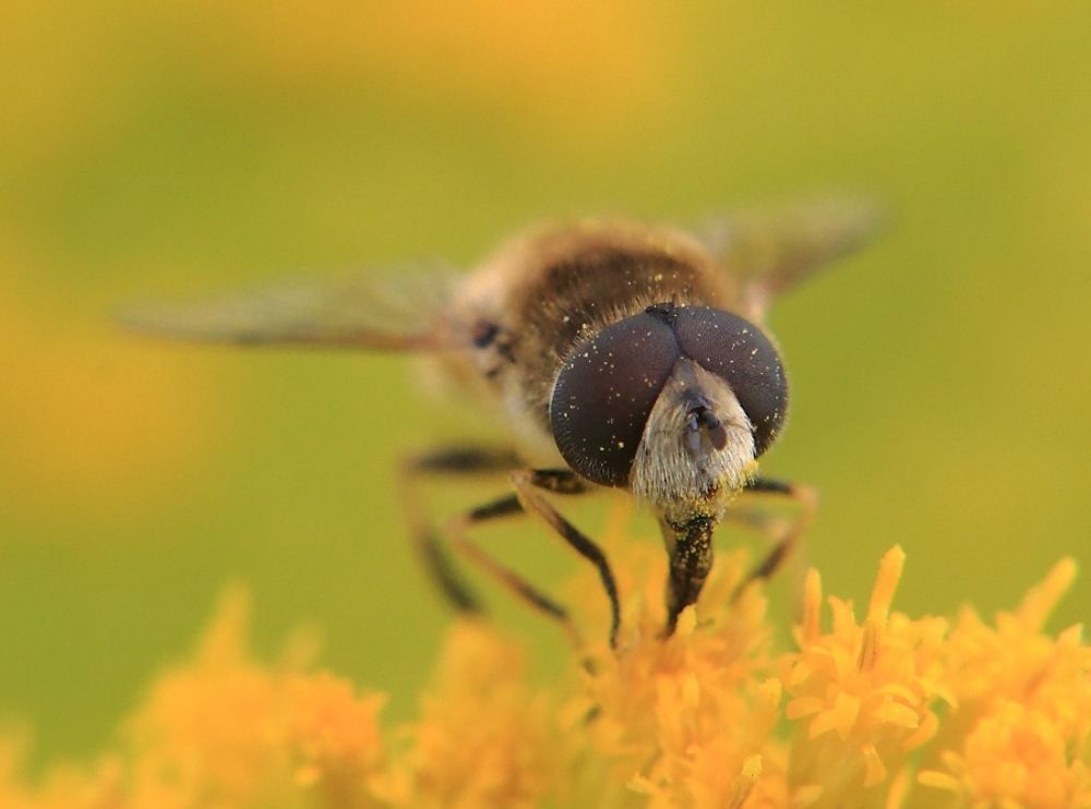 Photograph by Андрей Перешеин