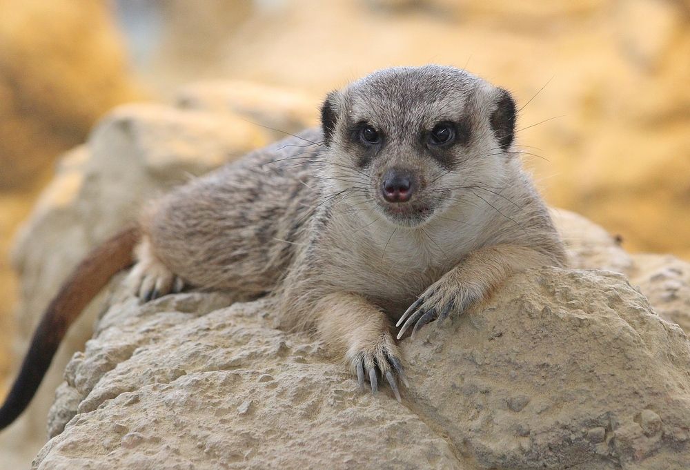 Photograph by Galina Tsmyg