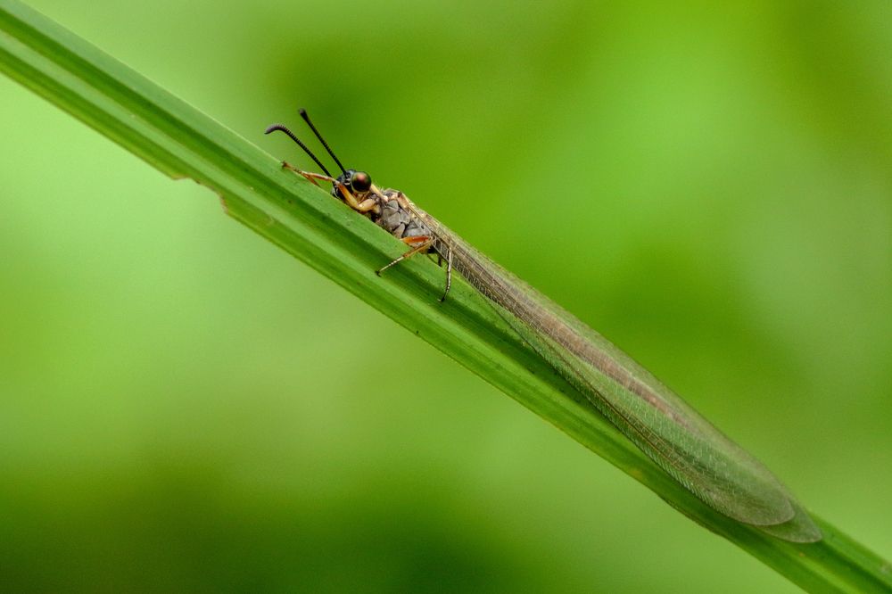 Photograph by Prasad Kn