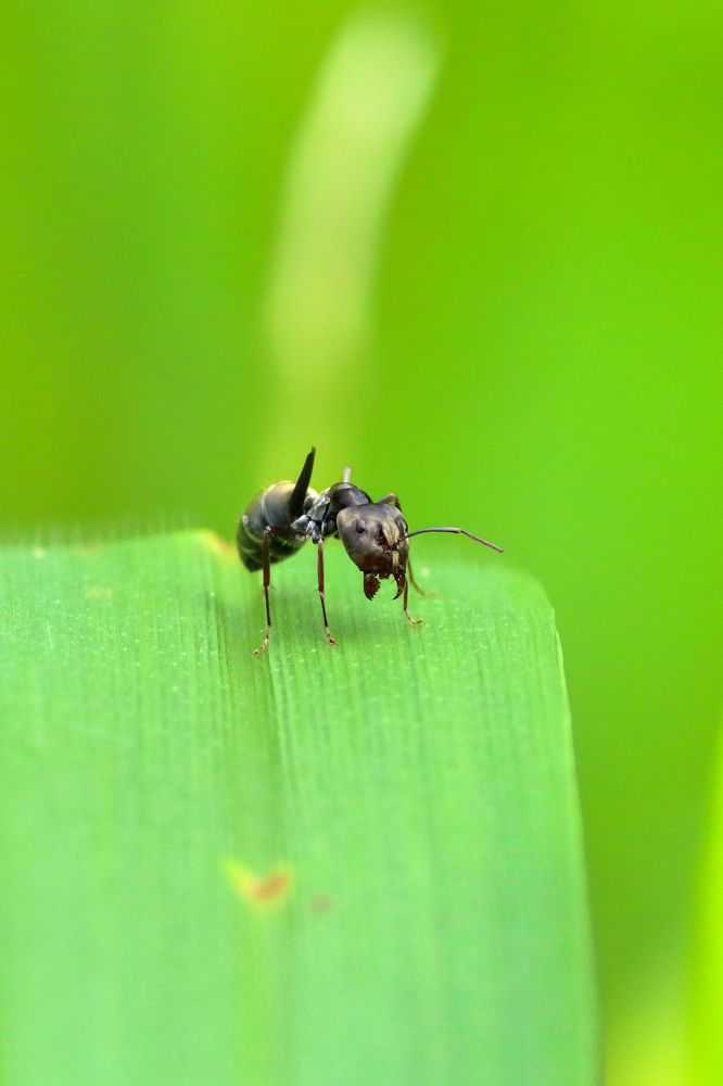 Photograph by Prasad Kn