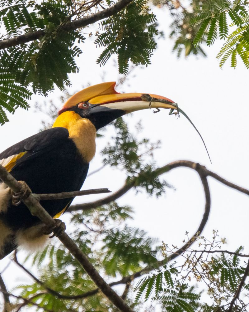 Photograph by Prasad Kn