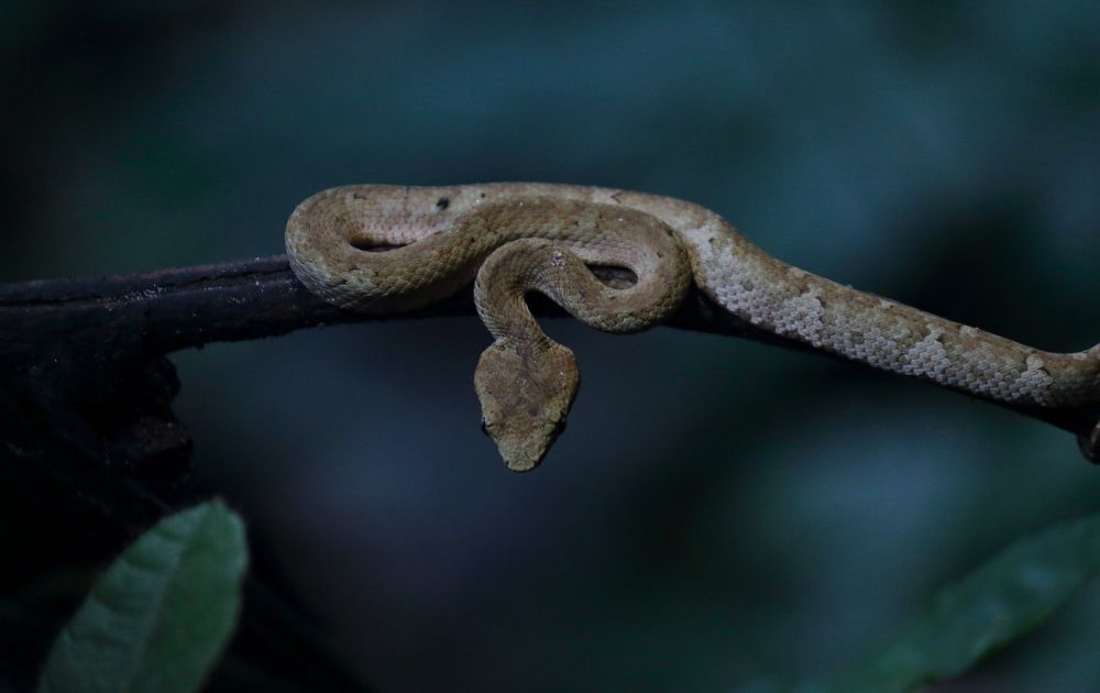 Photograph by Prasad Kn