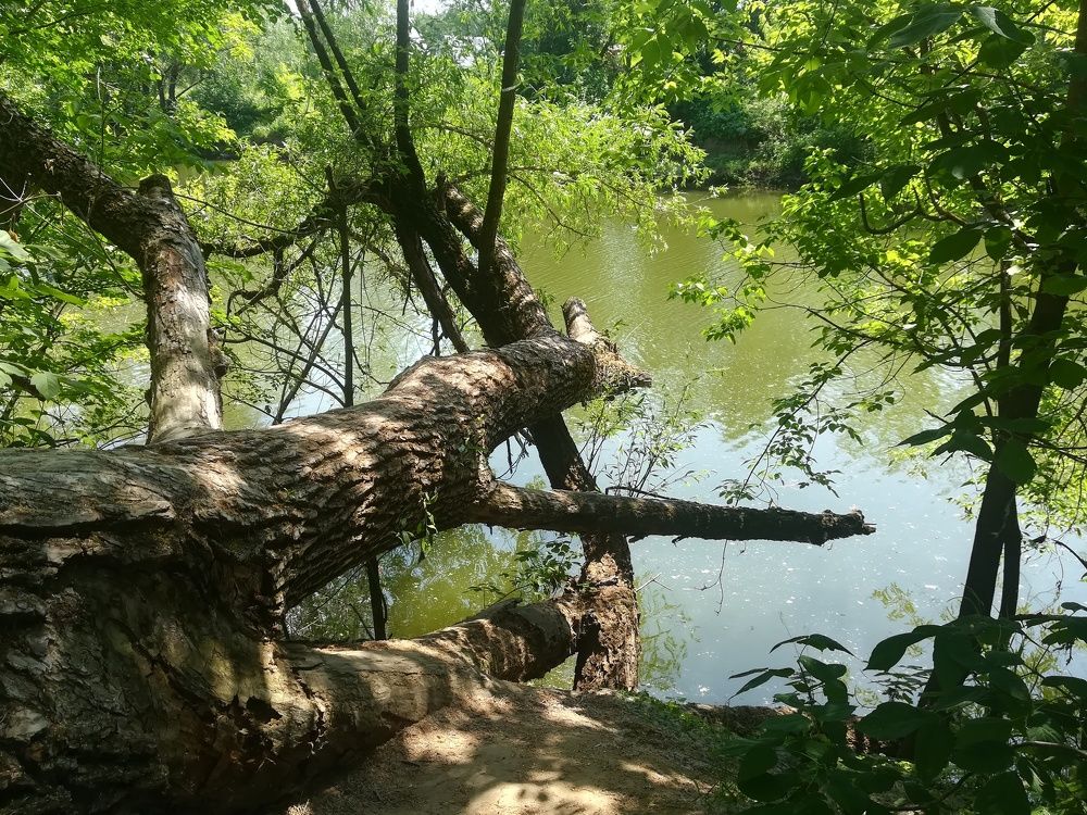 Photograph by Светлана Батурова