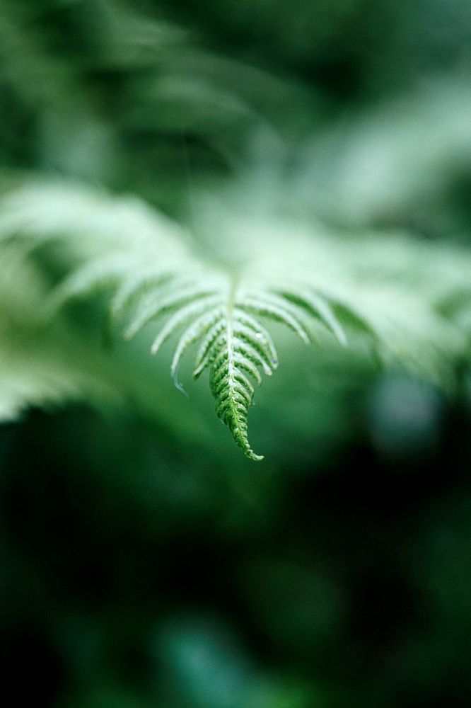 Photograph by Наталья Антипас