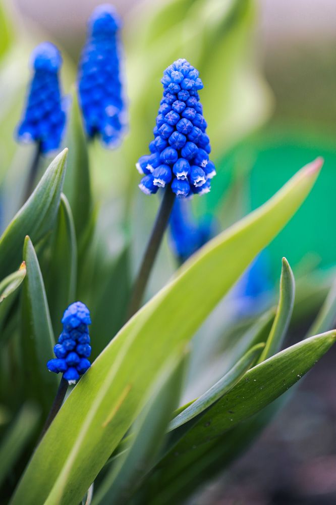 Photograph by Наталья Антипас