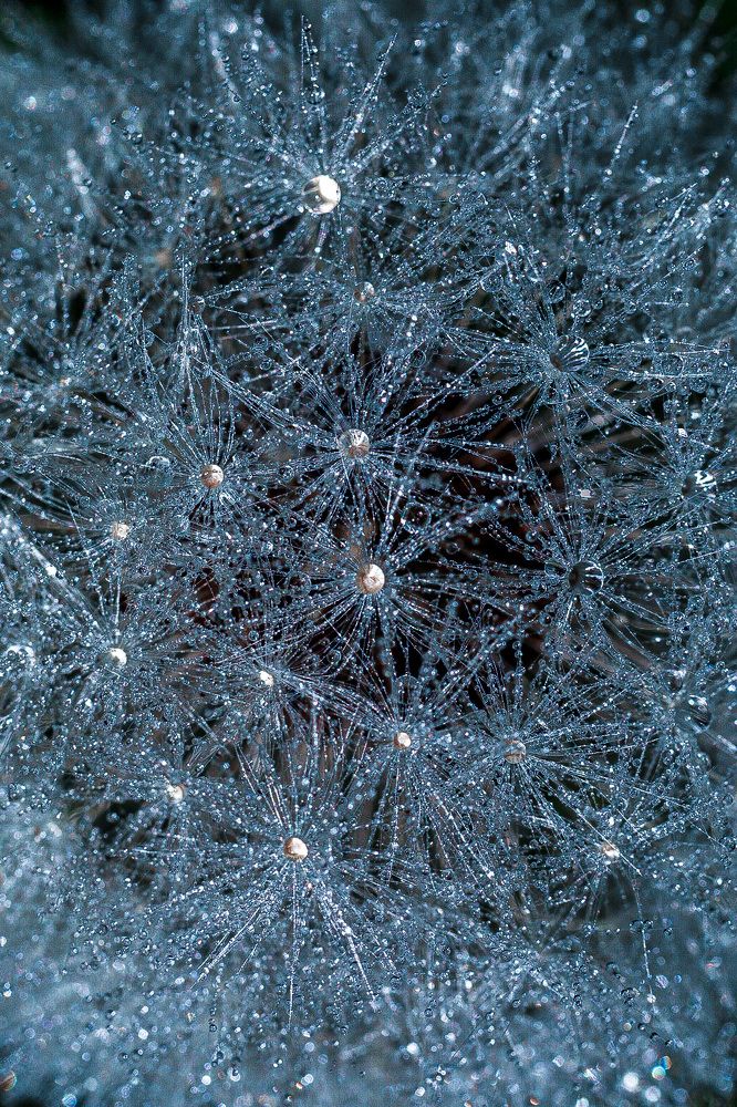 Photograph by Наталья Антипас