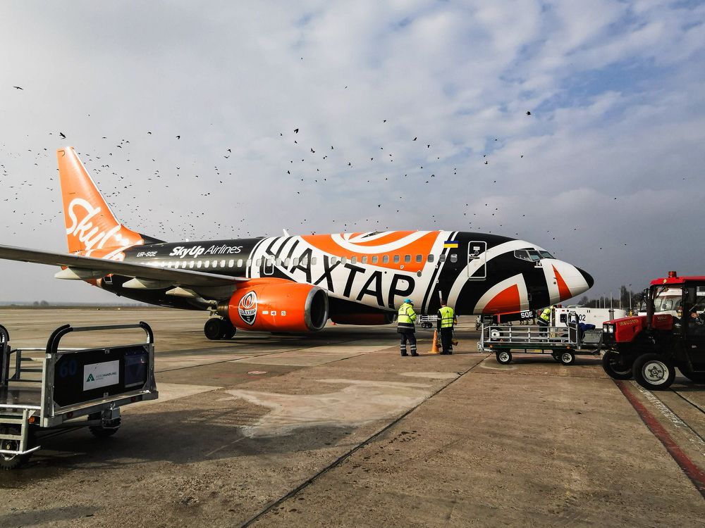 Photograph by Виктория Сорокопуд