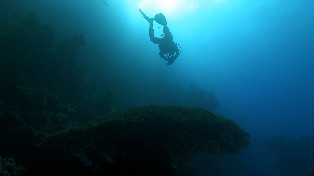 Photograph by Мария Берёзка