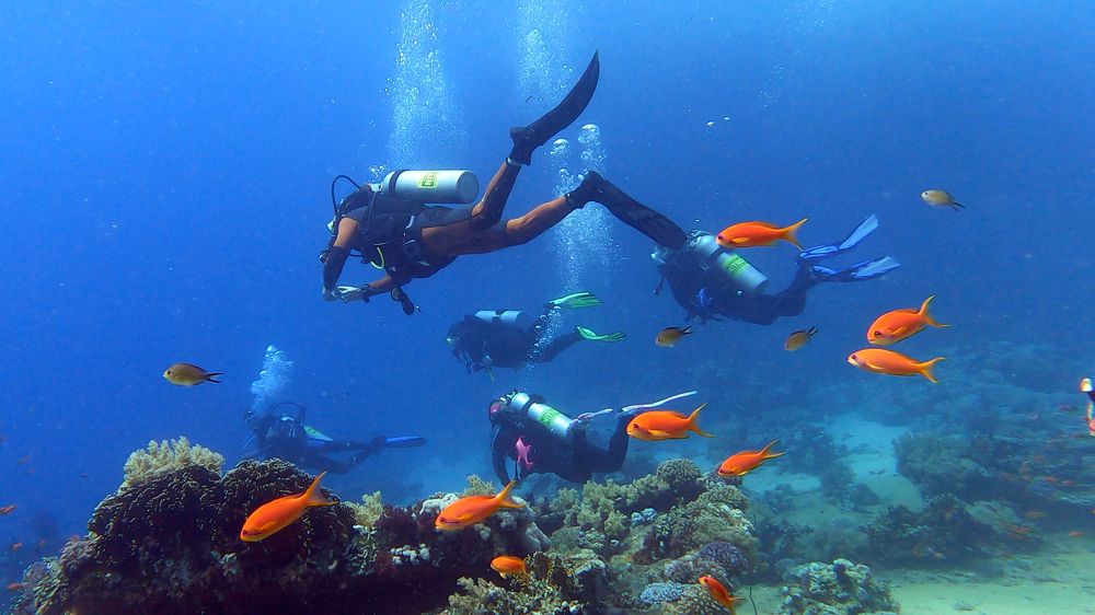 Photograph by Мария Берёзка