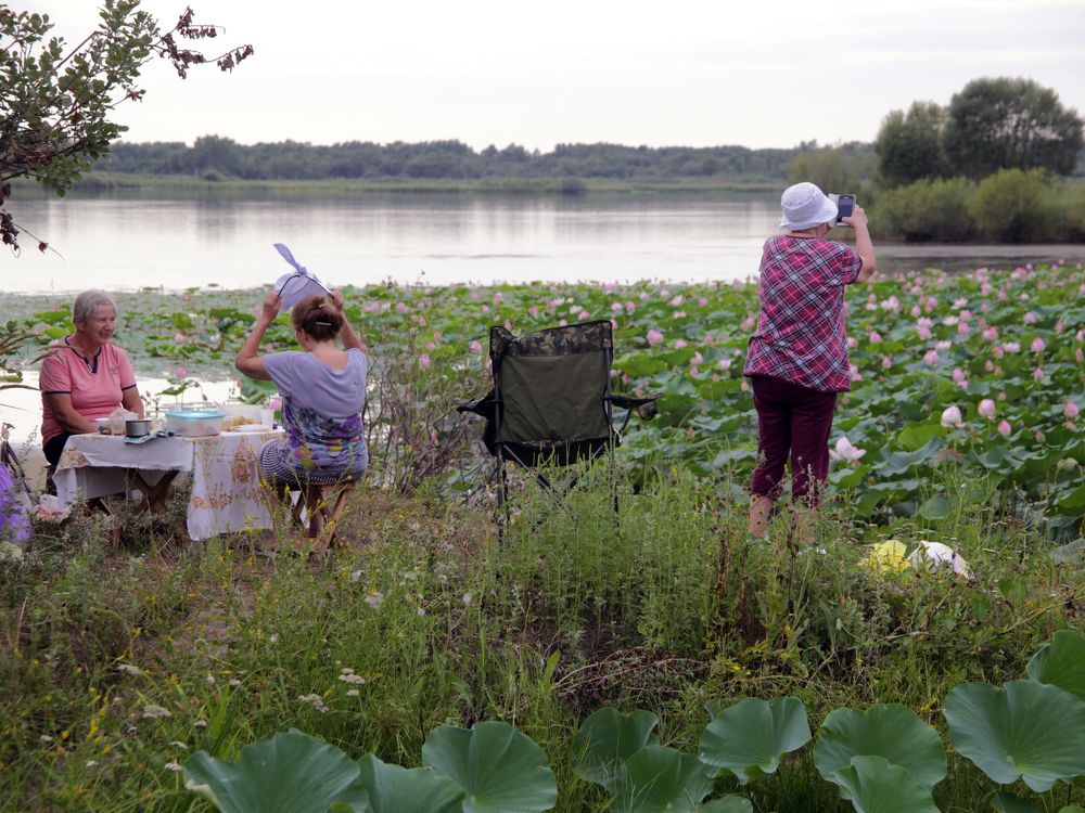 Photograph by Виктор Егоров