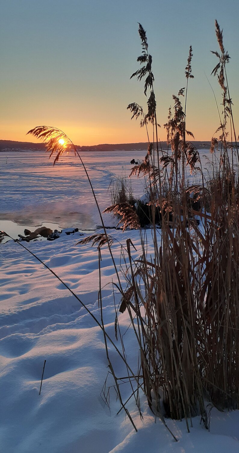 Photo #6536740