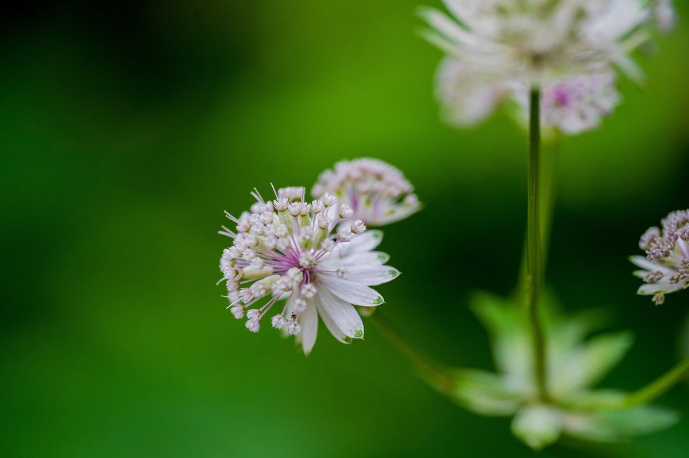 Фотография автора Юлия Вычужанина