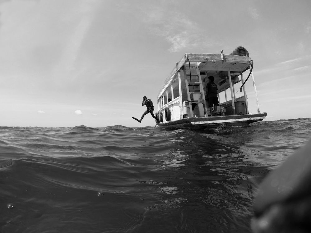 Photograph by Алексей Амилющенко