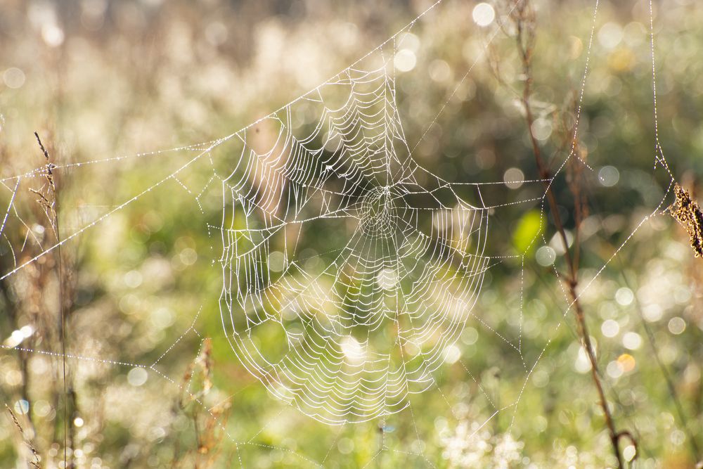 Photograph by Мария Долбич