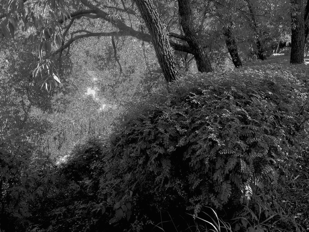 Photograph by Nemo Nemov