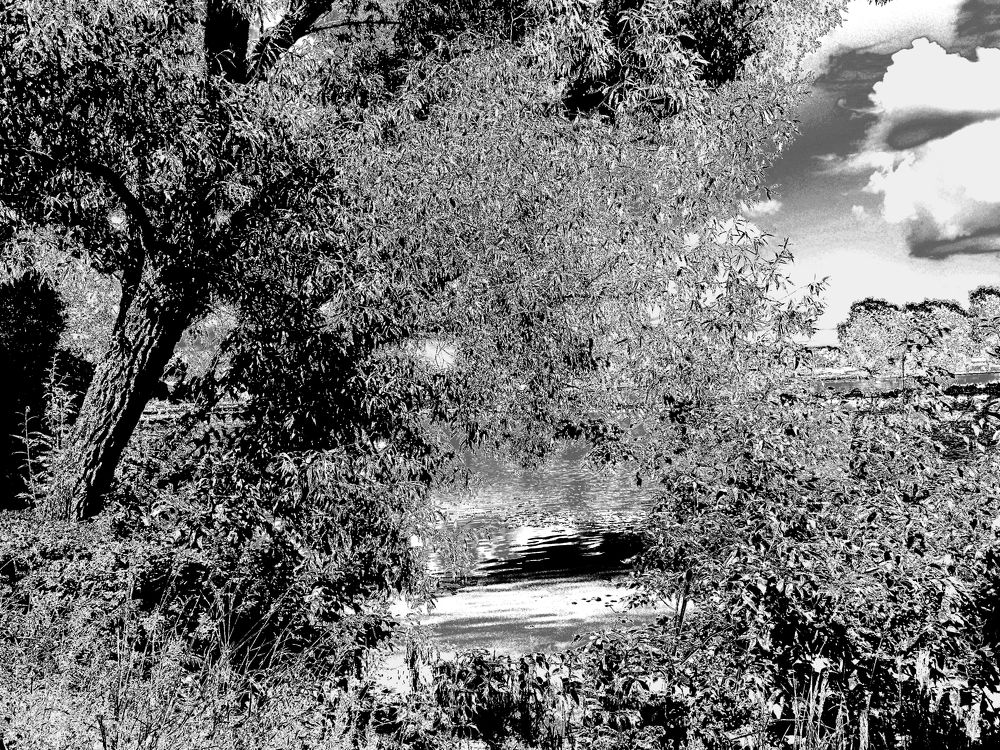 Photograph by Nemo Nemov