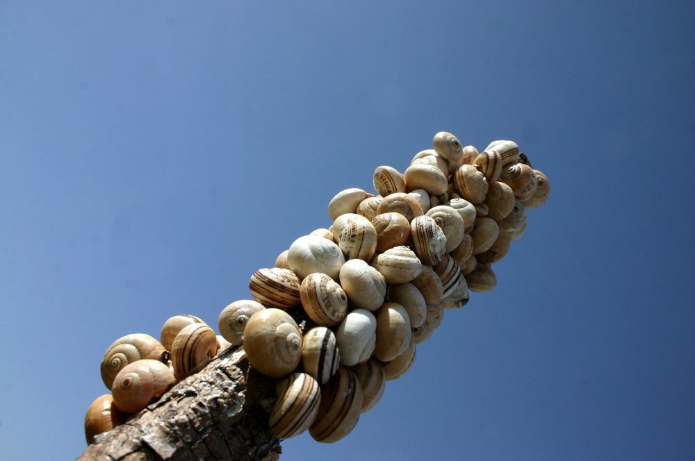 Photograph by Salih Aqeil