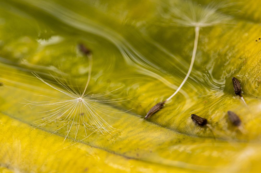 Photograph by Normunds Kaprano