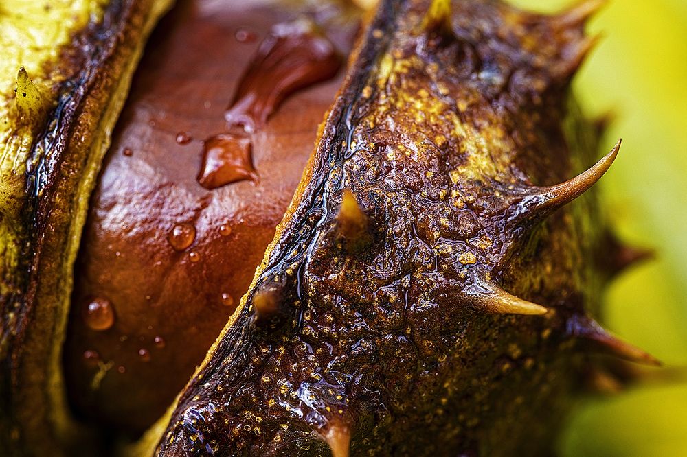 Photograph by Normunds Kaprano