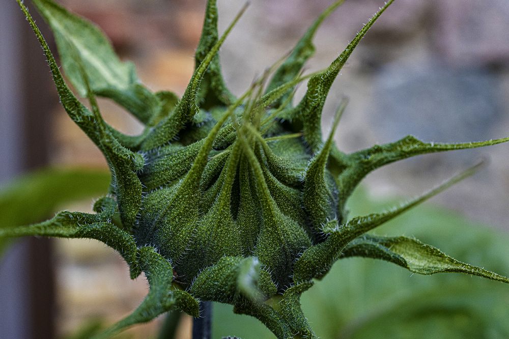 Photograph by Normunds Kaprano