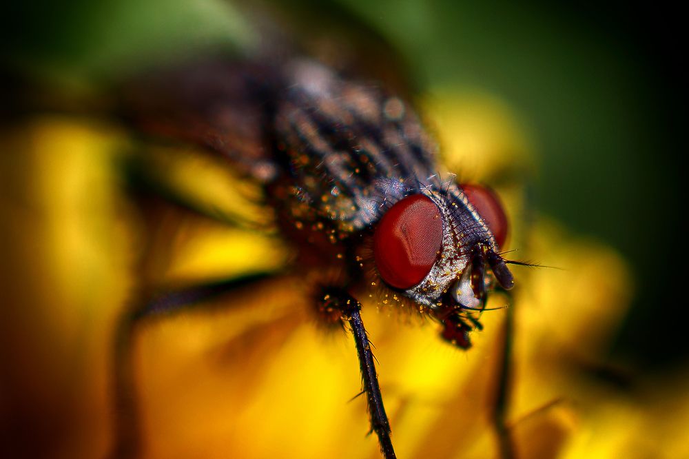 Photograph by Николай