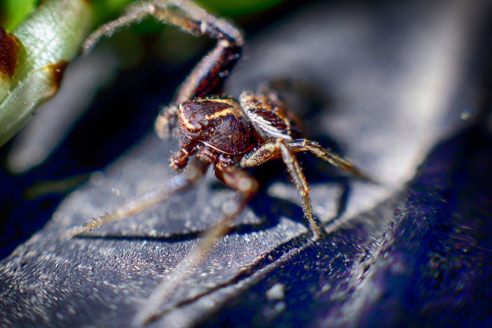 Photograph by Николай