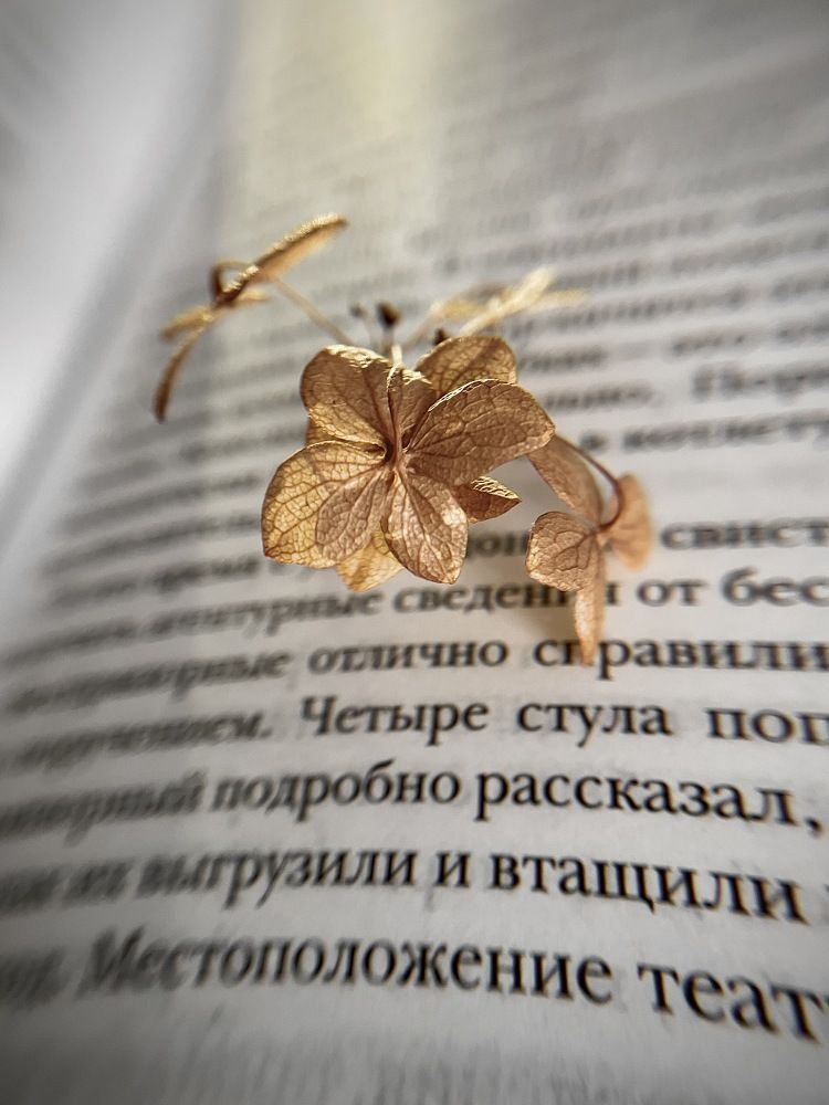 Photograph by Наталья Свинарёва