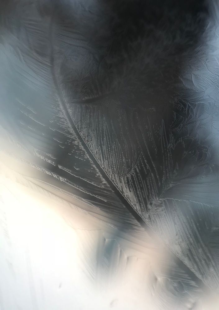 Photograph by Наталья Свинарёва