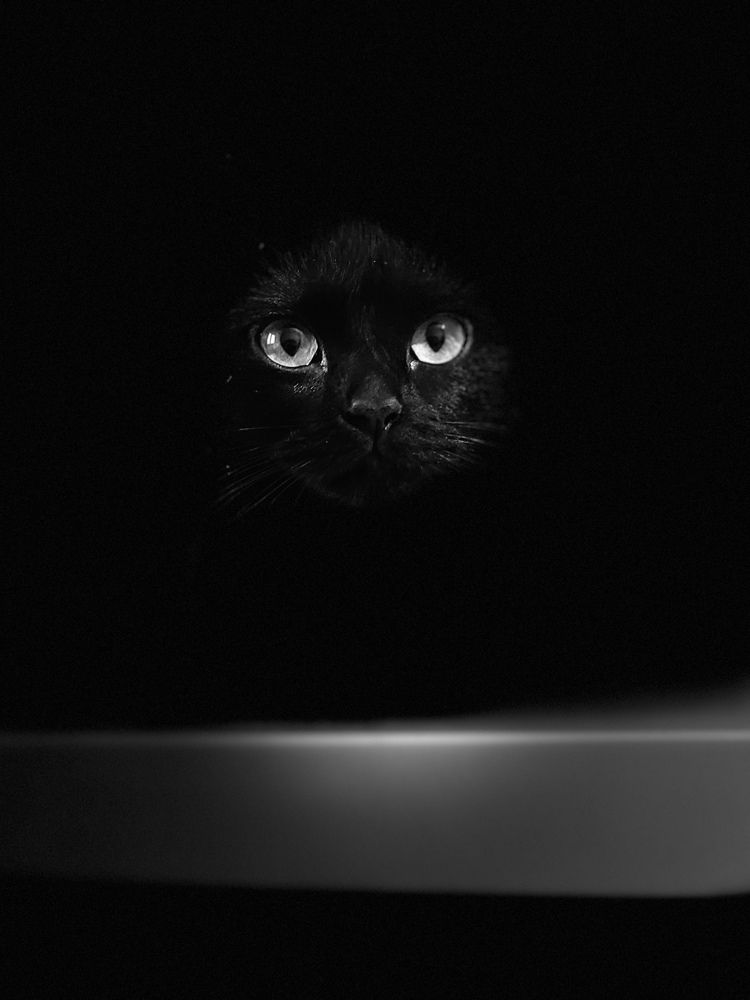 Photograph by Мария