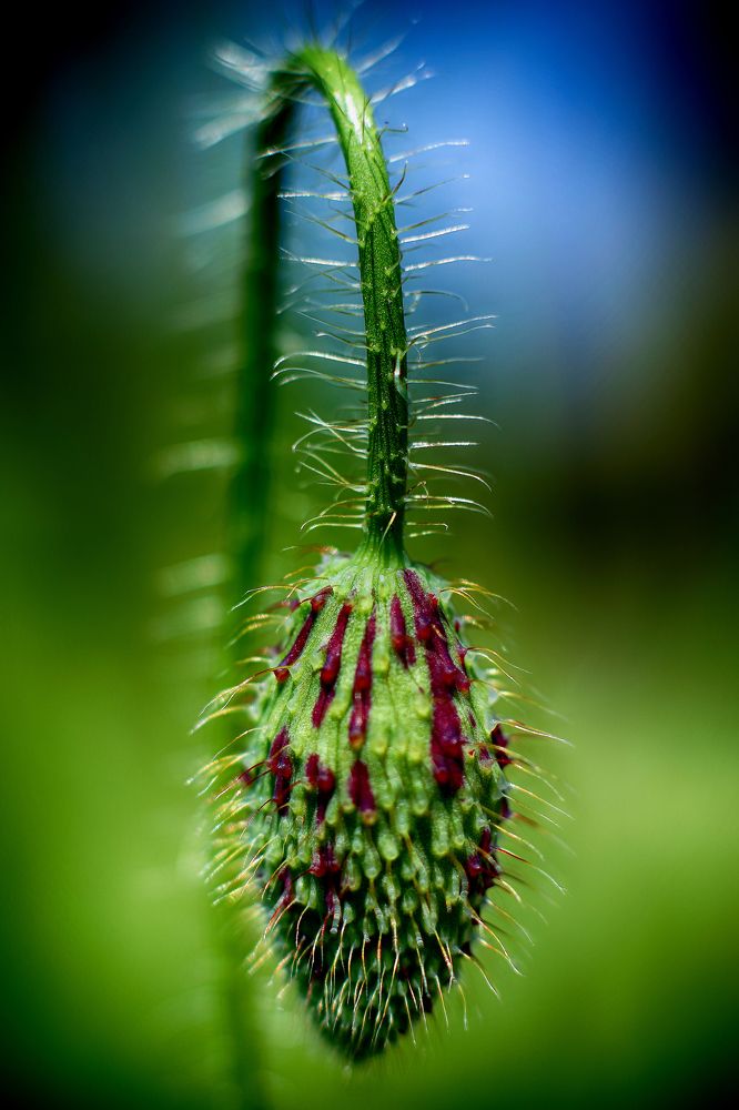 Photograph by Николай