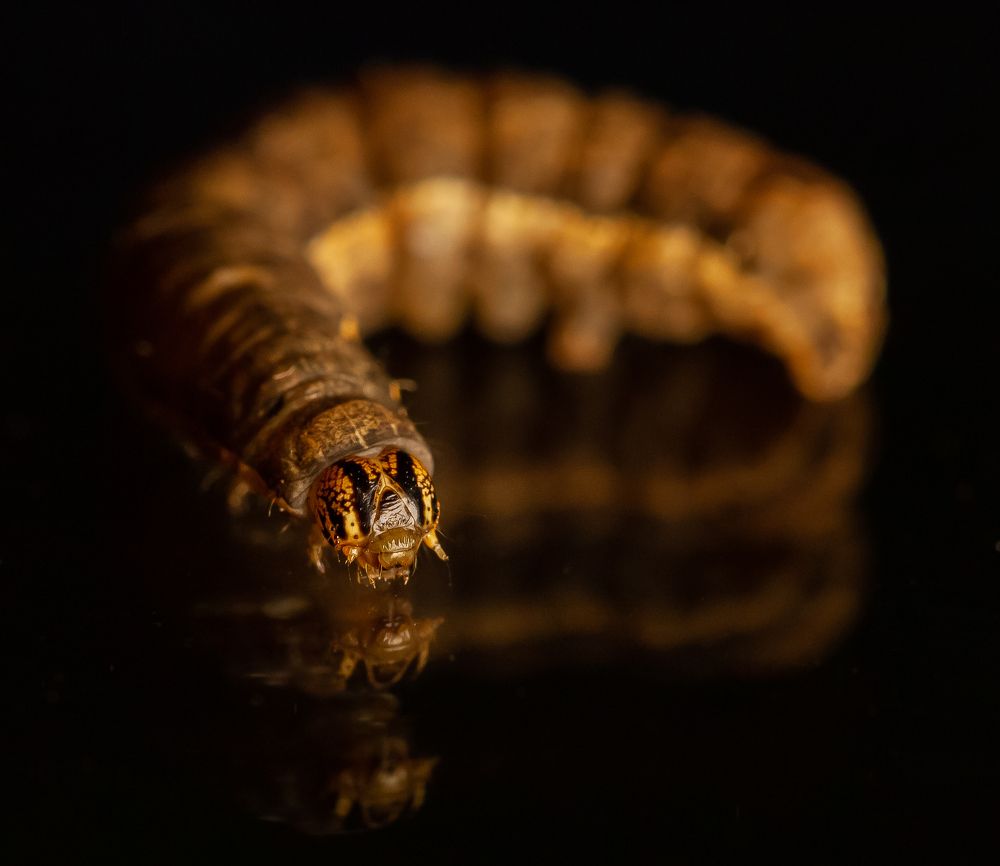 Photograph by Марина Новожилова