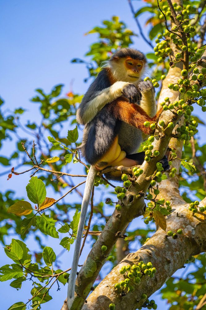 Photograph by Nguyễn Hiệp