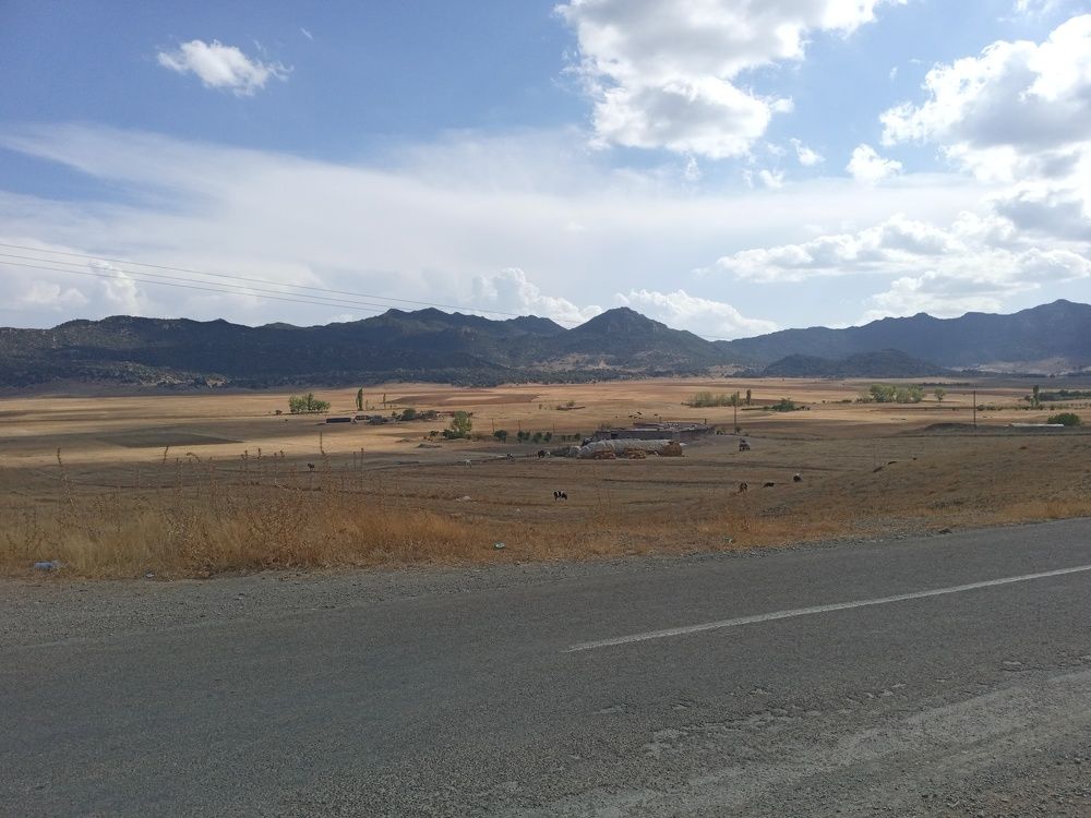 Photo #6537294