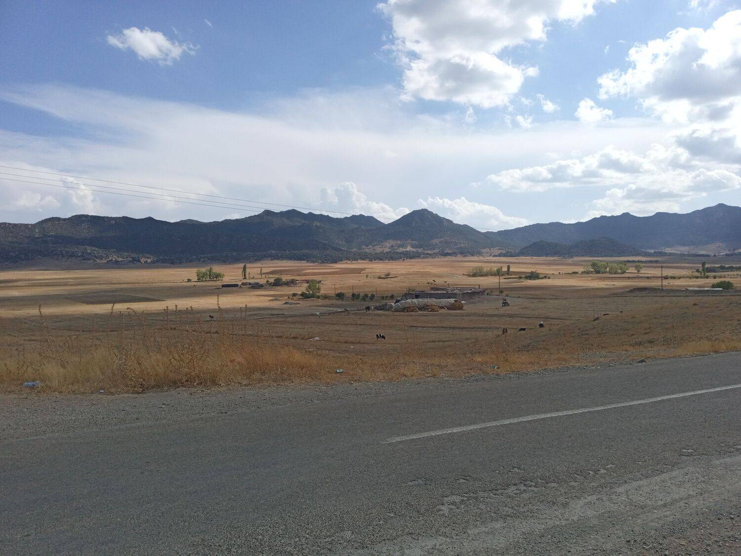 Photo #6537294