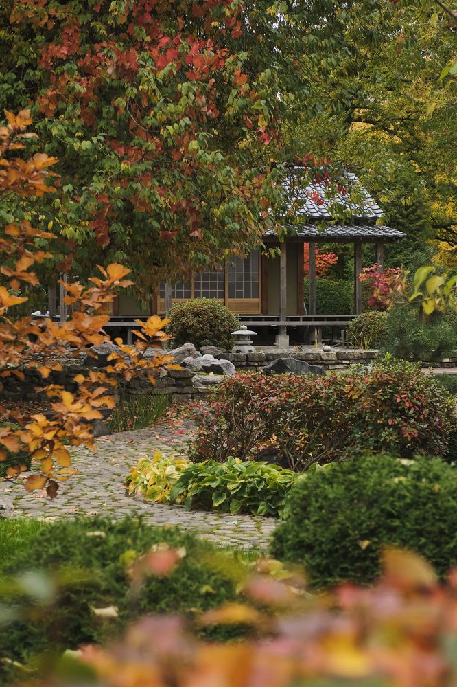 Photograph by Наталья Соловьева