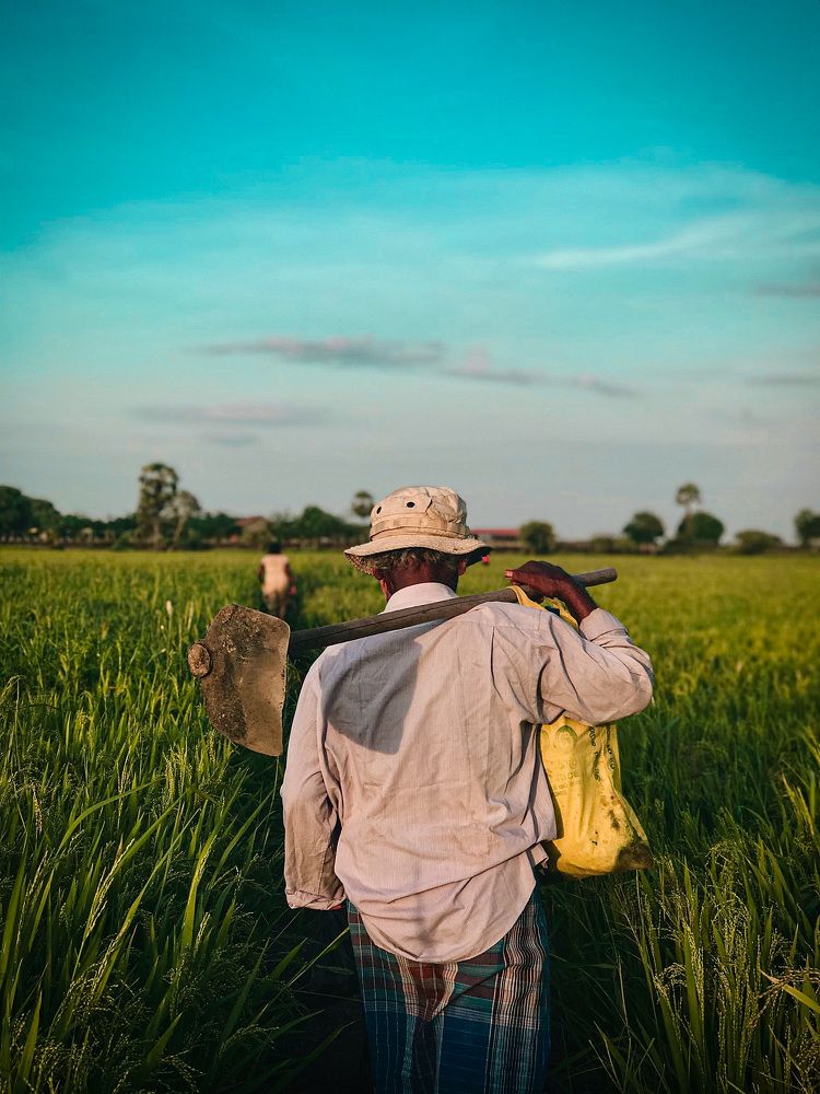 Photograph by Nalin Jerom Nadeshwaran